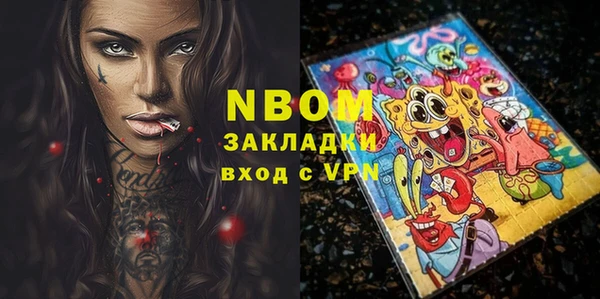 шишки Арсеньев