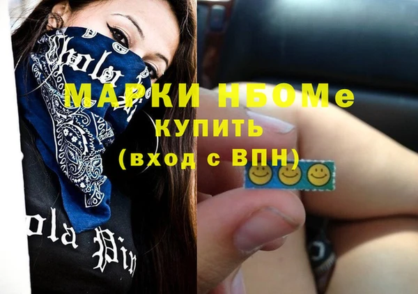 шишки Арсеньев
