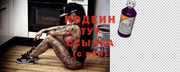 шишки Арсеньев