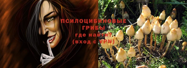 шишки Арсеньев