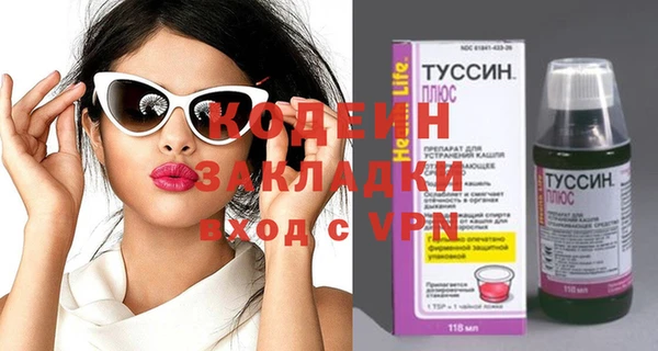 шишки Арсеньев
