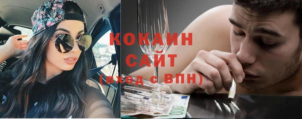 шишки Армянск